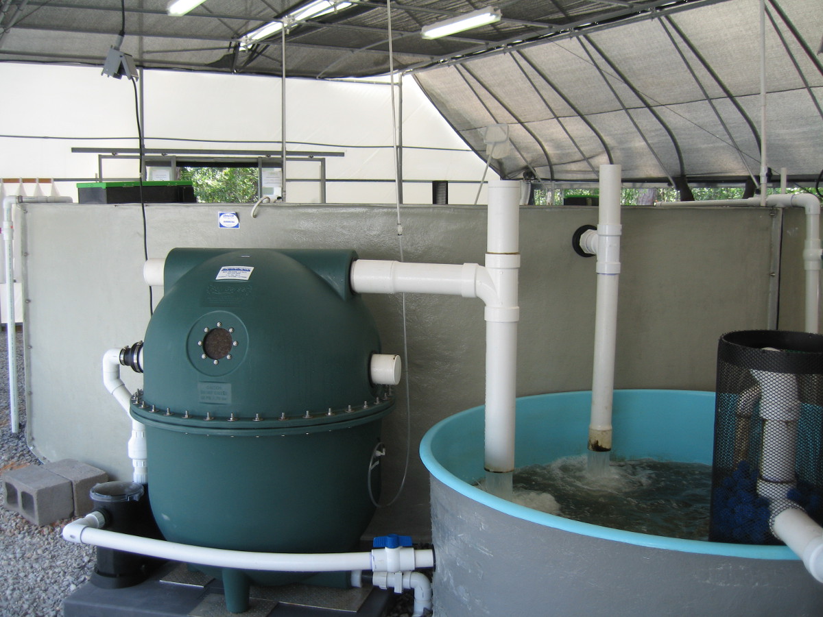 AST Filters: Recirculating Aquaculture Systems ...