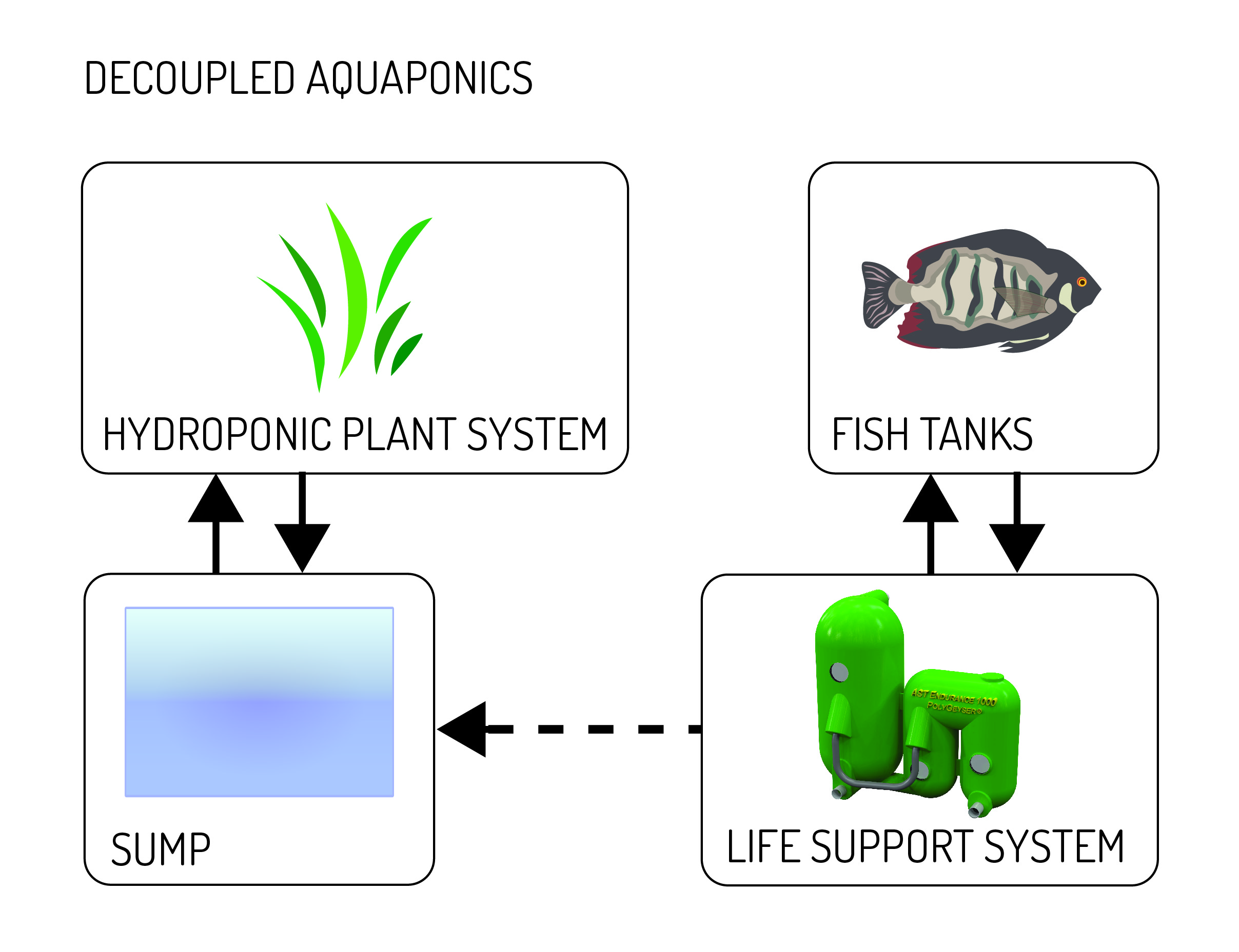What is a Decoupled Aquaponics System?