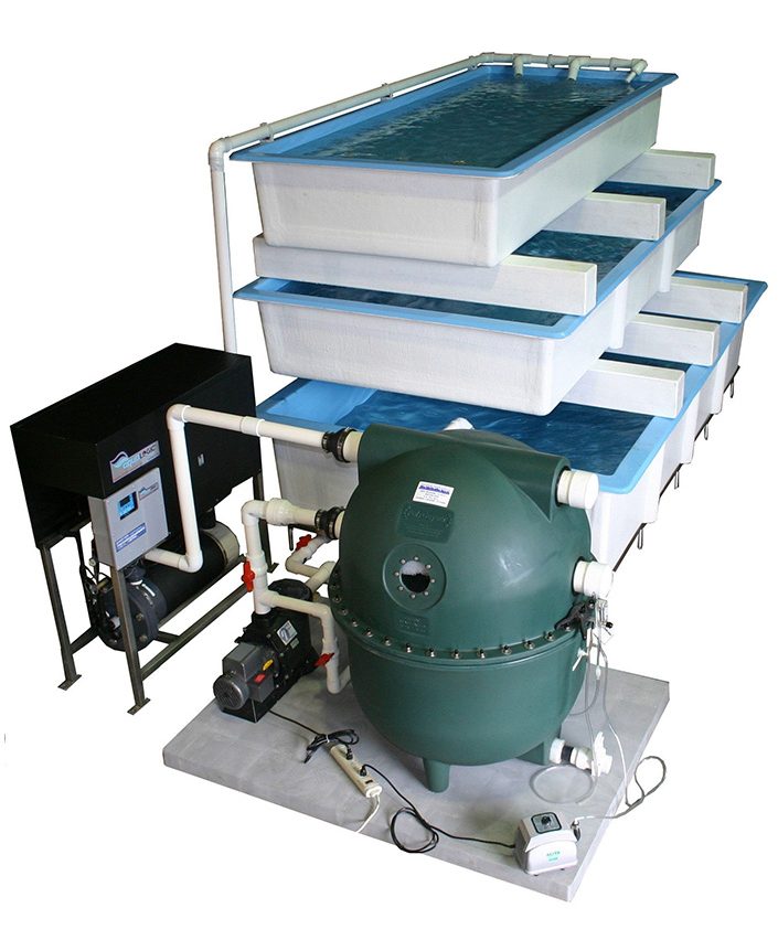 Live Bait & Seafood: Lobster Holding Tanks, Filter Systems & More