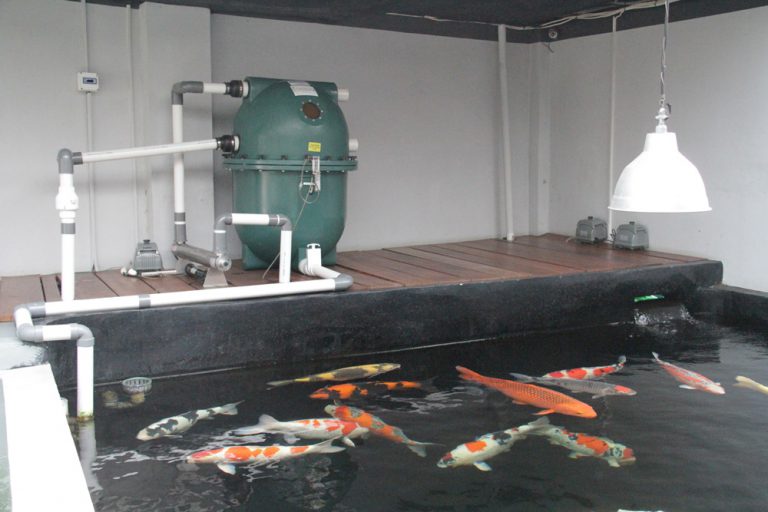 Koi Filters & Koi Pond Systems with Self Cleaning Filters