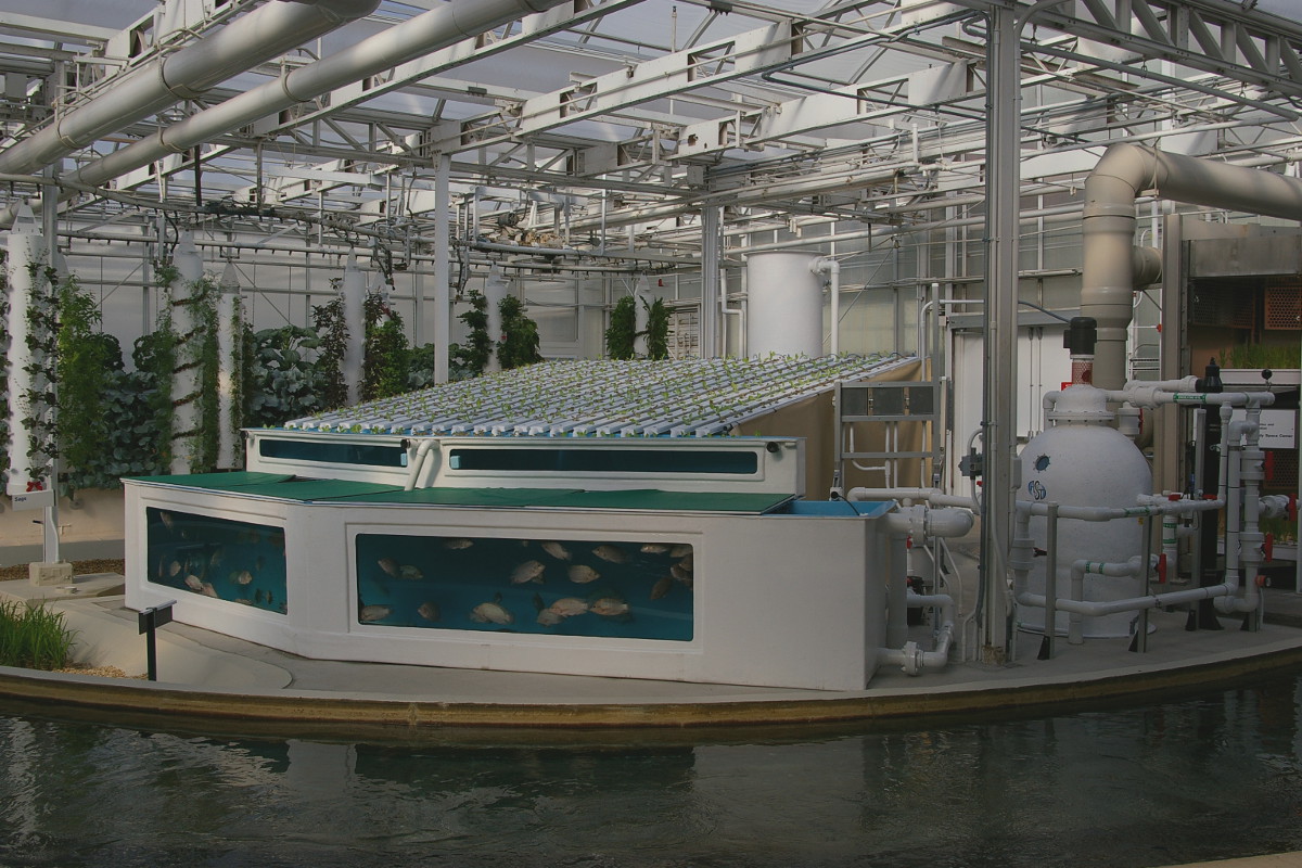 commercial aquaponic systems from nelson and pade