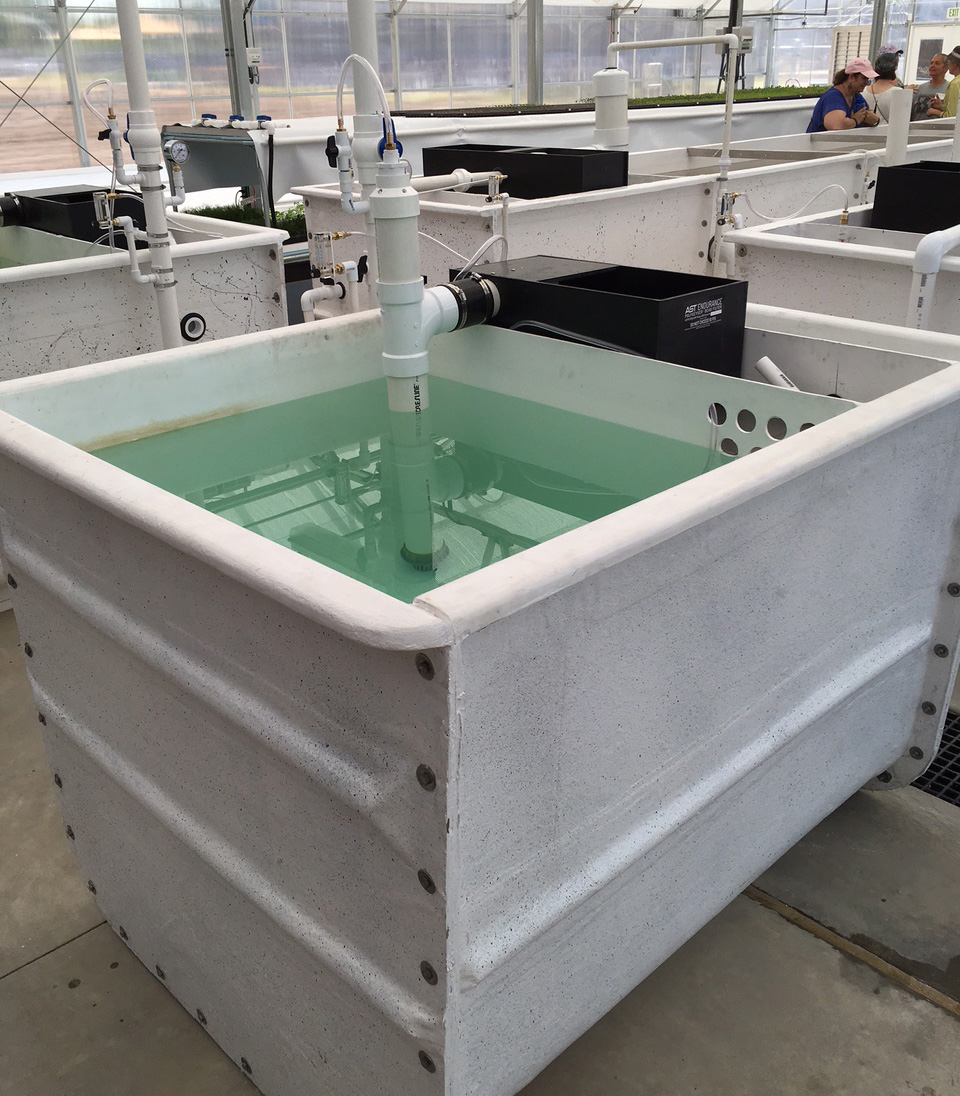 Live Bait & Seafood: Lobster Holding Tanks, Filter Systems & More