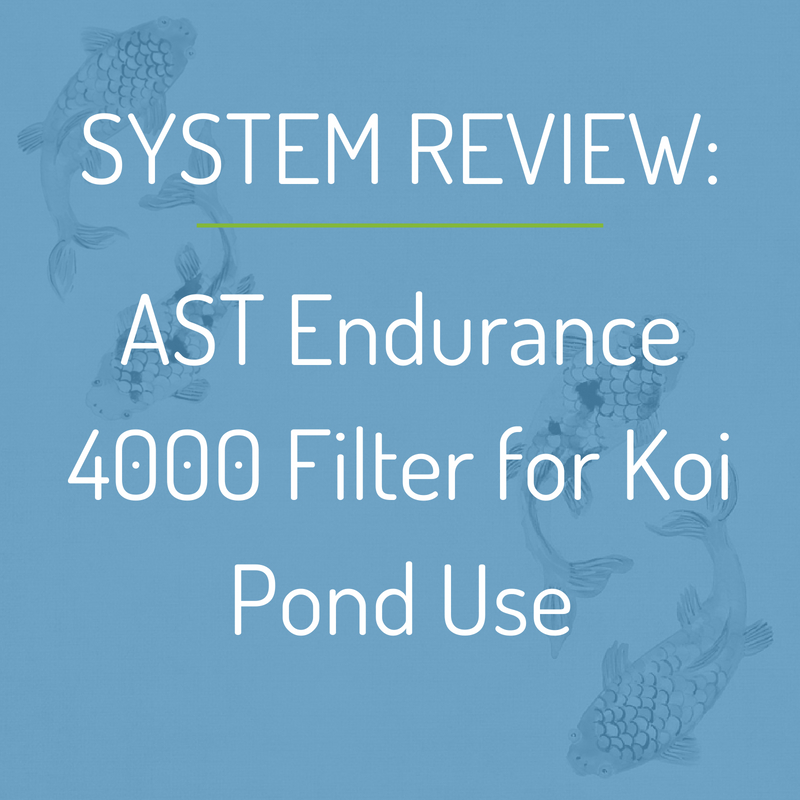 AST Endurance 4000 Filter System Review for Koi Pond Use