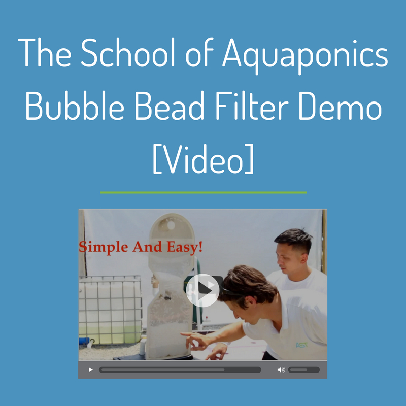 The School of Aquaponics Bubble Bead Filter Demo [Video]