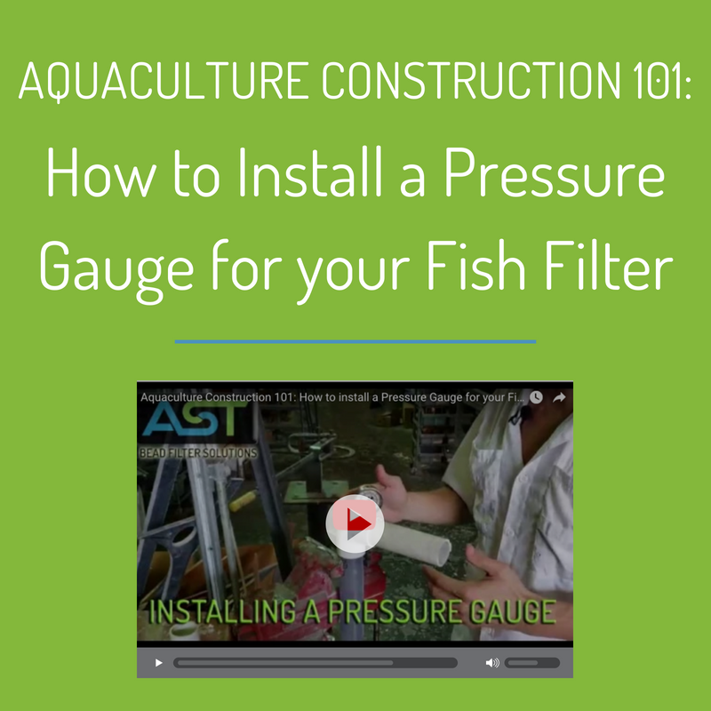 Aquaculture Construction 101: How to Install a Pressure Gauge for your Fish Filter