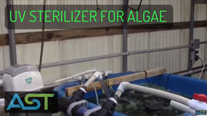 Adding UV Sterilizer for Better Water Clarity