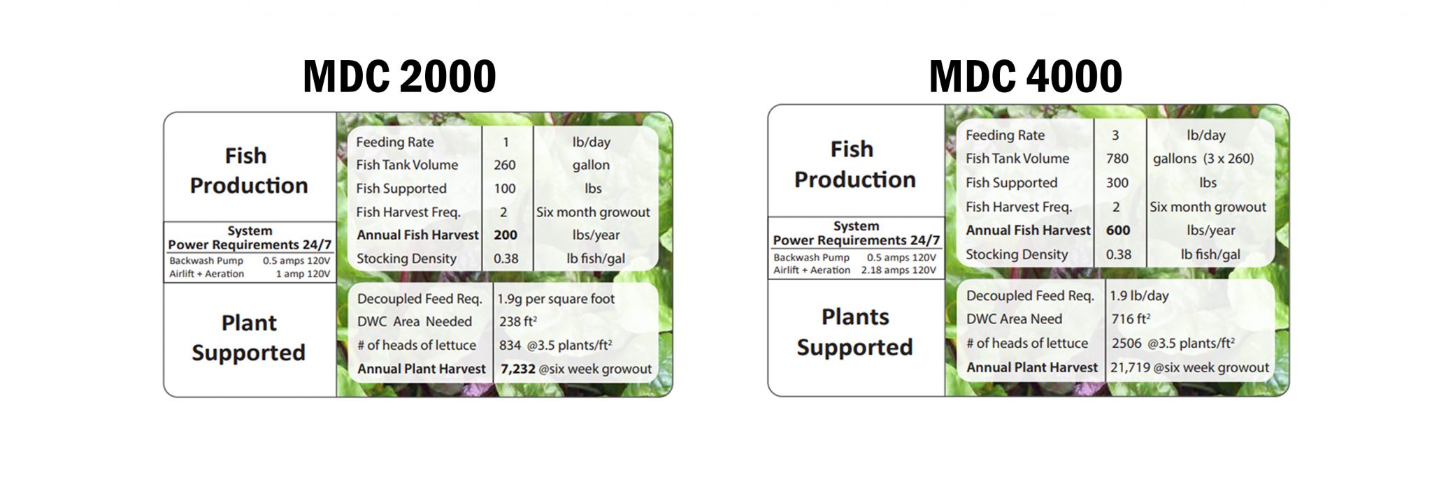 MDC Charts for Website