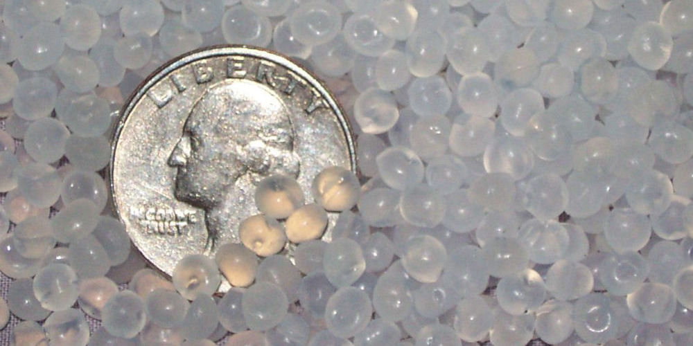 Managing Biofilm for Optimal Nitrification