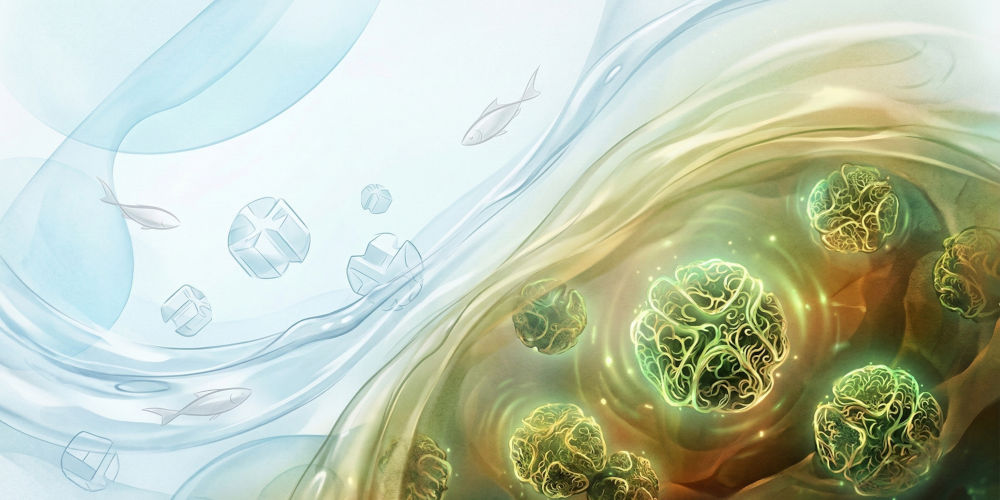 Biofilm Development and Biofilter Acclimation