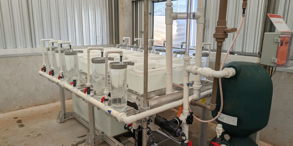Biofiltration in Aquaculture: How Biological Filters Support Cleaner, More Efficient Fish Farming