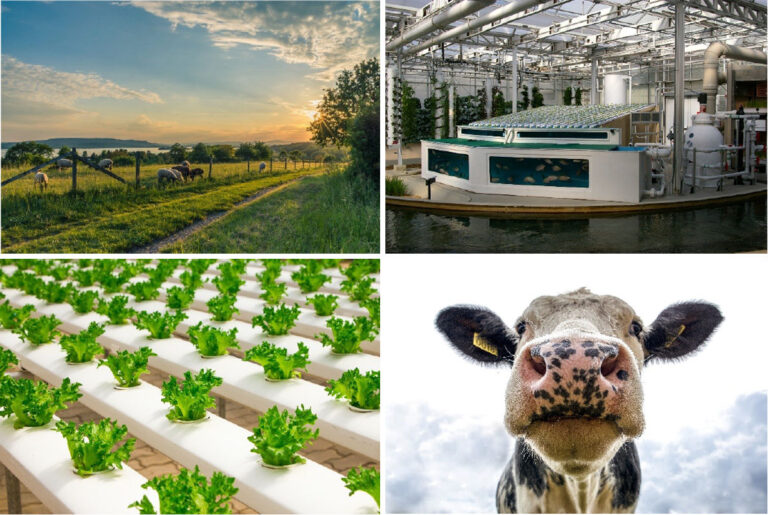 Agricultural Wastewater Treatment Systems Ast Bead Filters