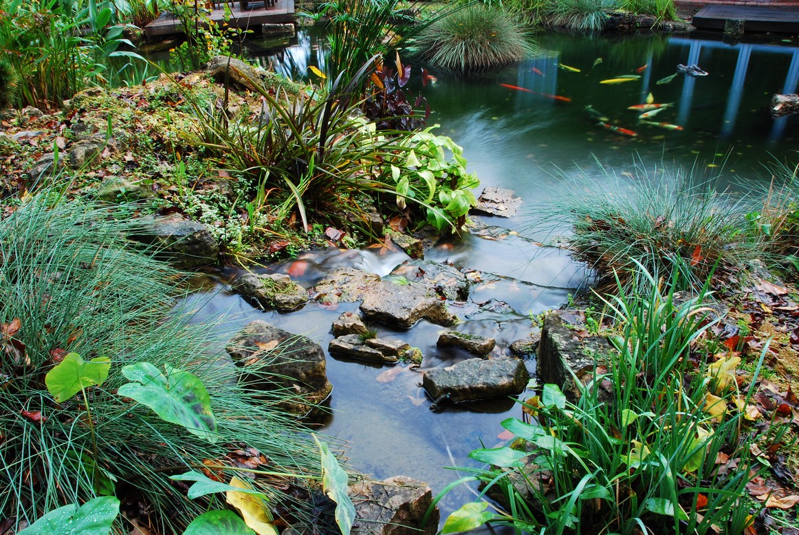 Koi Filters &amp; Koi Pond Systems with Self Cleaning Filters