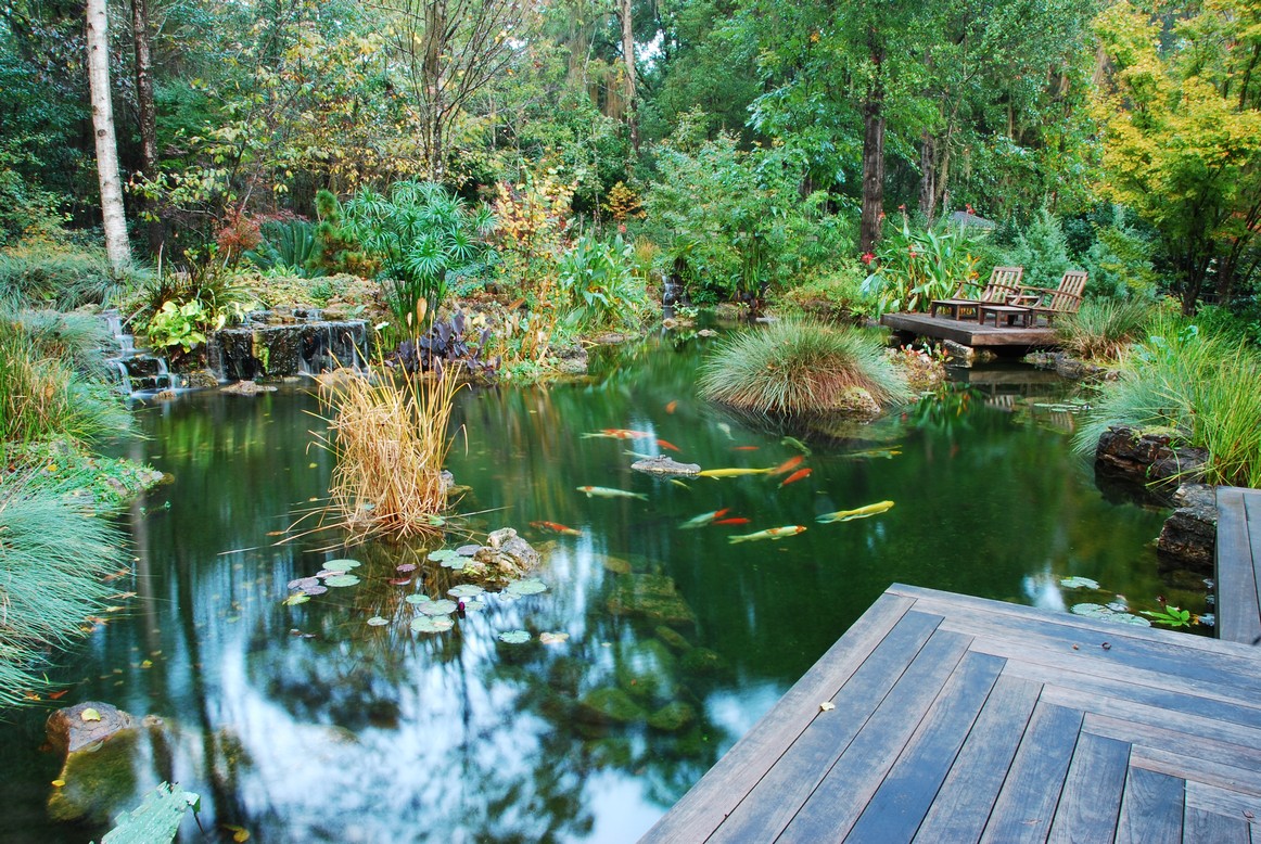 Koi Filters & Koi Pond Systems with Self Cleaning Filters
