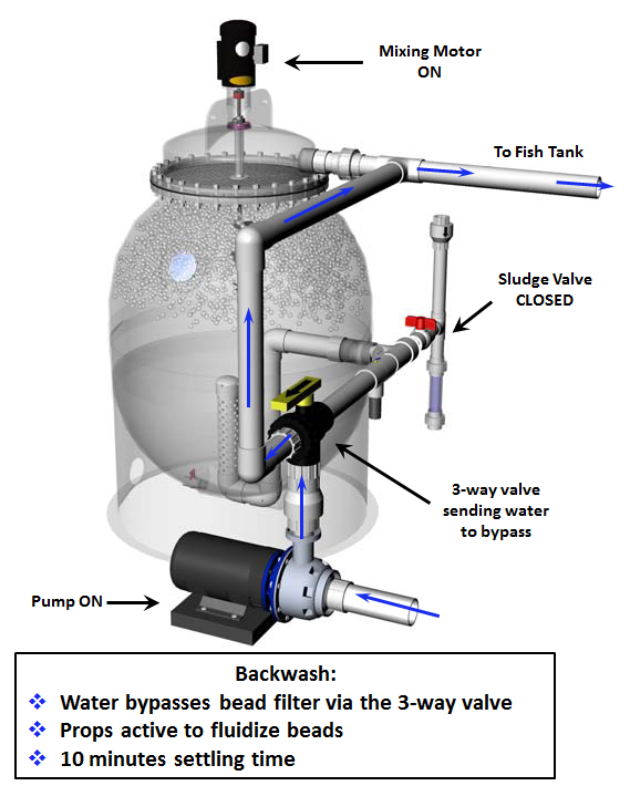 Propeller Bead Filter Operation and Backwash Aquaculture Systems